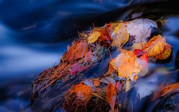 река, камни, листья, ручей, осень, поток, осенние листья