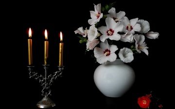 цветы, свечи, черный фон, ваза, подсвечник, мальва