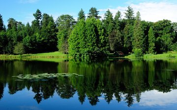 деревья, вода, озеро, природа, зелень, отражение, пейзаж, франция, бургундия