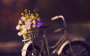 цветы, фон, велосипед