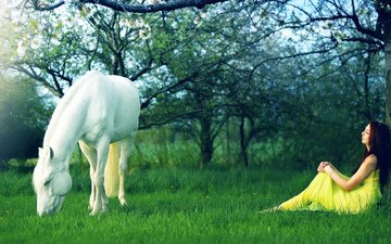 лошадь, трава, девушка, платье, брюнетка, конь, желтое платье