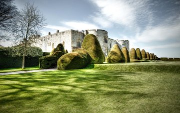трава, дерево, дизайн, кусты, замок, великобритания, уэльс, chirk castle