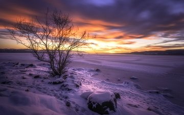 озеро, снег, дерево, закат, зима, норвегия, озеро тюрифьорд, бускеруд