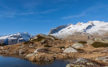 горы, природа, швейцария, fusshorner bettmeralp