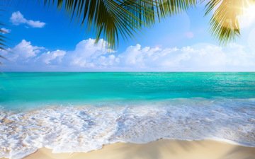 берег, море, песок, пляж, пальмы