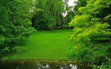 трава, деревья, зелень, парк, пруд, франция, лужайка, albert-kahn japanese gardens