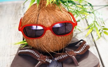очки, праздник, кокос, каникулы, сланцы, летнее, кокосовый орех, забавная