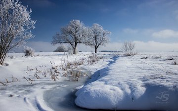 деревья, река, снег, природа, зима
