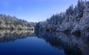 небо, деревья, озеро, лес, зима, отражение