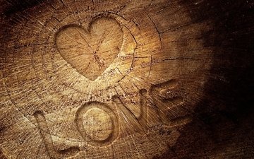дерево, сердце, любовь, древесина, дерева, влюбленная, сердечка