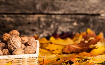 листья, осень, грецкий орех