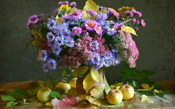 цветы, листья, фрукты, яблоки, осень, букет, натюрморт, астры, сентябринки