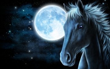морда, свет, арт, лошадь, ночь, звезды, луна, рендеринг, конь