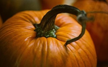 хеллоуин, тыква, pumpkins