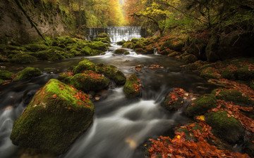 река, камни, лес, листья, водопад, осень, швейцария, мох, каскад, areuse gorge, val-de-travers, ущелье аройзе