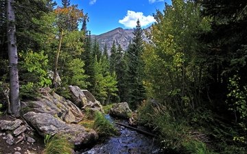 деревья, река, горы, скалы, лес, пейзаж, осень, rocky mountain national park