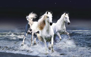 вода, волны, лошади, кони, бег, красавцы