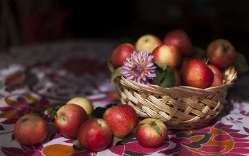 еда, фрукты, яблоки