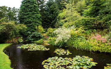 деревья, парк, кусты, пруд, шотландия, attadale gardens, strathcarron