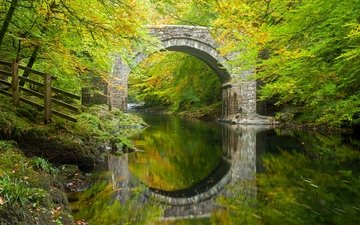 деревья, река, лес, отражение, мост, осень, англия, арка, holne bridge, river dart, холн-бридж, река дарт, дартмур, девон