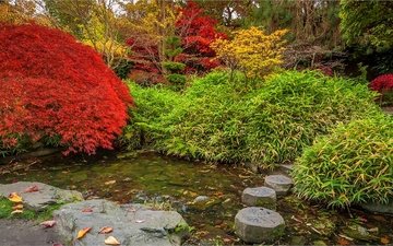деревья, пейзаж, парк, осень, японский сад, calderstones park