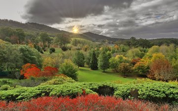 пейзаж, осень, lofty botanic gardens, аделаида-хиллс, южная австралия