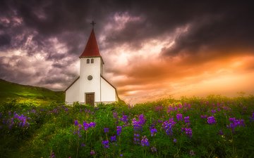 цветы, закат, луг, церковь, исландия, люпины