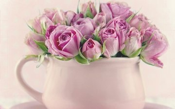цветы, фон, розы, букет, розовые, ваза