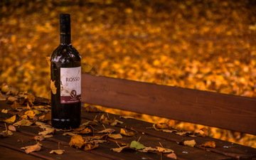 листья, осень, вино, скамья, бутылка