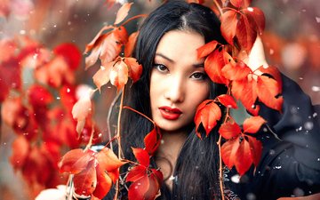 снег, листья, макияж, huan, алессандро ди чикко