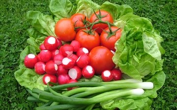 лук, овощи, помидоры, салат, редис