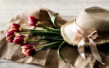 цветы, тюльпаны, лента, шляпа