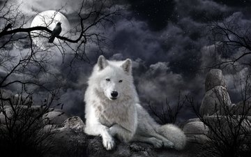 арт, ночь, луна, волк