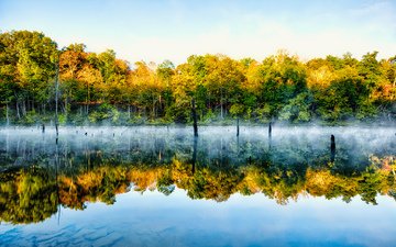 деревья, озеро, природа, отражение, туман
