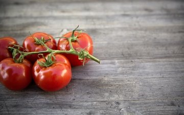 фон, овощи, помидоры, томаты