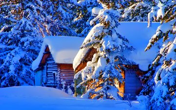 снег, природа, зима, фото, дома, ель