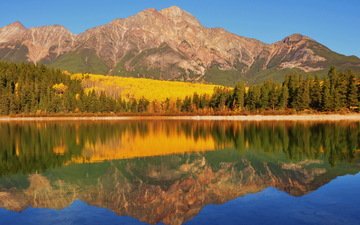 озеро, горы, берег, лес, отражение, осень, канада, национальный парк банф, рatricia lake, canadia