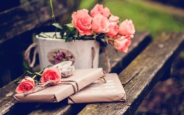 цветы, розы, скамейка, подарок
