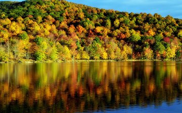 деревья, вода, отражение, осень, красота, пейзаж. природа, время года