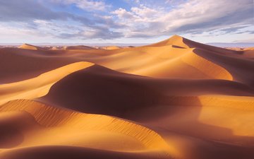 природа, песок, пустыня, дюны