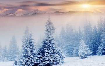 деревья, горы, снег, природа, лес, зима