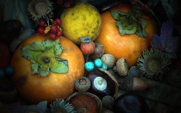 текстура, осень, плод, орех, желудь, хурма, каштан