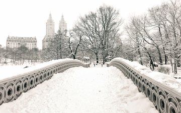 снег, зима, мост, чёрно-белое, нью йорк, центральный парк