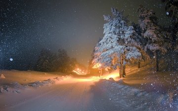 дорога, ночь, зима, метель