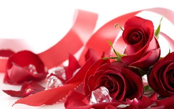 цветы, розы, любовь, праздник, чувства, аромат, день всех влюбленных
