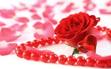 цветок, роза, лепестки, сердечко, сердце, бусы, украшение, valentines day, bead
