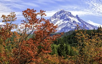 деревья, горы, пейзаж, осень