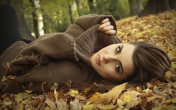 деревья, листья, девушка, взгляд, осень, лежит, модель, волосы, лицо, карие глаза