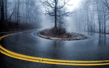 дорога, деревья, туман, осень, поворот