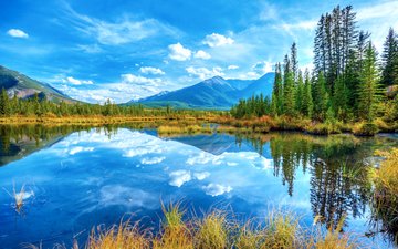 небо, деревья, озеро, горы, осень, канада, альберта, национальный парк банф, minnewanka lake